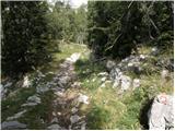 End of road on Vogar - Planina Lopučnica